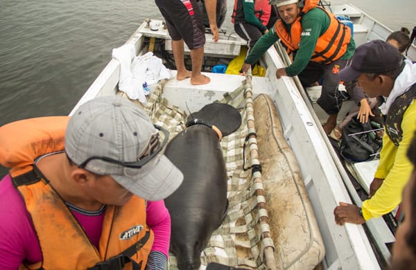 462ee089-7b3a-491b-95ed-c9fdef63fe56_18-02-2016-soltura-da-cassi---foto-amanda-lelis-11