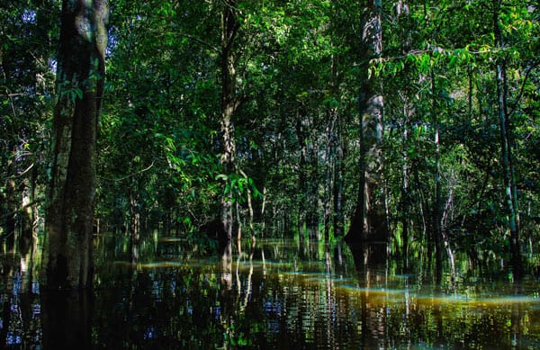 cafa5190-03c3-4df3-854d-6134f8eddbb8_varzea---marcelo-ismar-santana