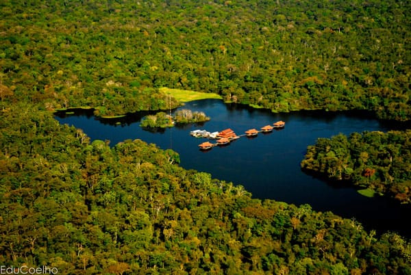 db055315-31d2-4630-b0ba-762b6076827e_pousada-uacari,-reserva-mamiraua---foto-edu-coelho